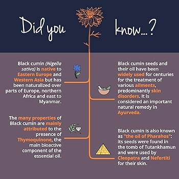 Black Seed Oil