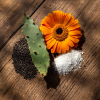 Desert Rose Replenishing Salve